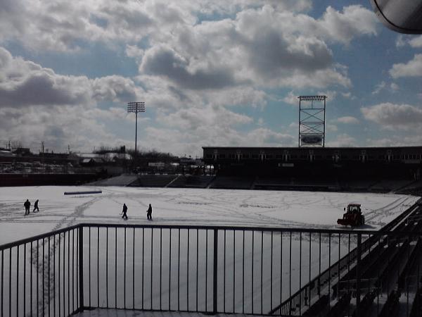  - Fisher Cats snow covered field